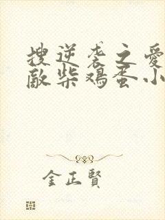 搜逆袭之爱上情敌柴鸡蛋小说完整版