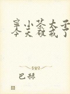 宁小茶太子殿下今天破戒了吗免费阅读