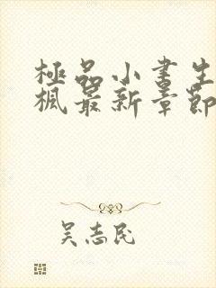 极品小书生张青枫最新章节免费阅读