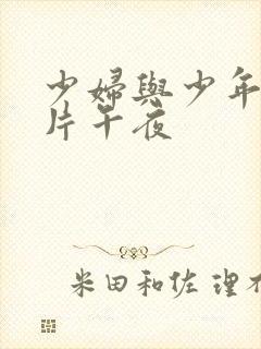 少妇与少年理论片午夜