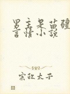 男主是苗疆人的言情小说