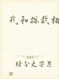 我和总裁相了亲