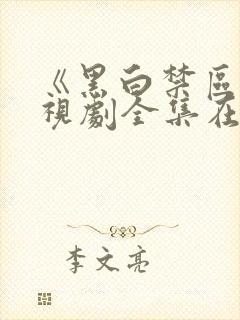 《黑白禁区》电视剧全集在线观看