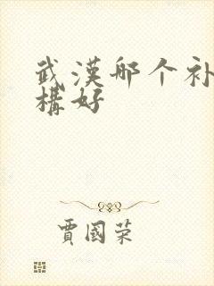 武汉哪个补习机构好