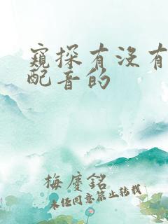 窥探有没有国语配音的