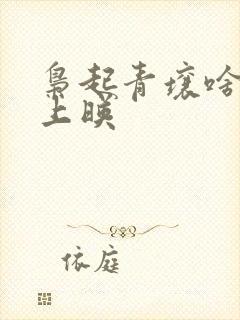 枭起青壤啥时候上映