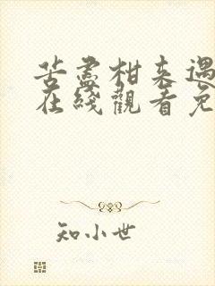 苦尽柑来遇见你在线观看免费完整版流畅