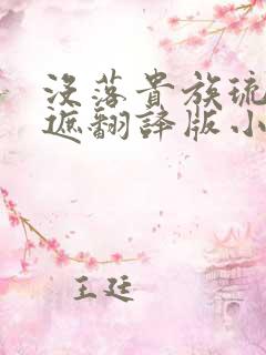 没落贵族琉璃无遮翻译版小说