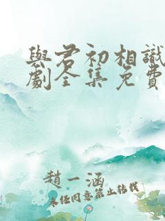 与君初相识电视剧全集免费播放