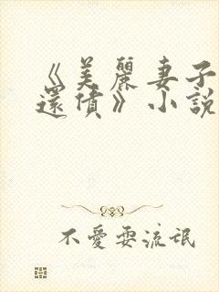 《美丽妻子替夫还债》小说