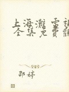 上海滩 电视剧 全集免费观看