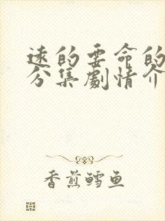 远的要命的爱情分集剧情介绍