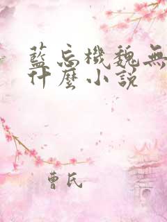 蓝忘机魏无羡是什么小说