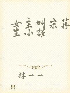 女主叫宋苒的重生小说