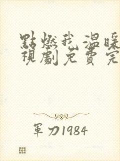 点燃我温暖你电视剧免费完整版观看高清