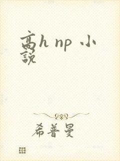 高h np 小说