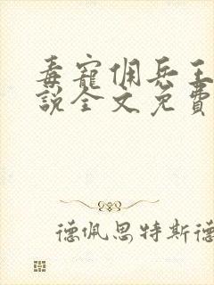 毒宠佣兵王妃小说全文免费