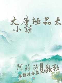 大唐极品太子爷 小说