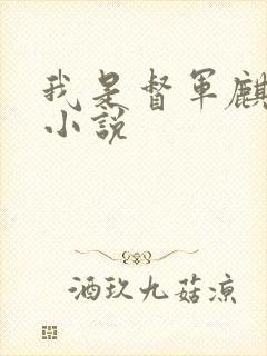 我是督军麒麟子小说