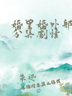婚里婚外那些事分集剧情
