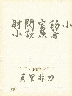 财阀家的小儿子小说原著