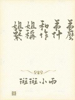 姐姐和弟弟的关系称作什么