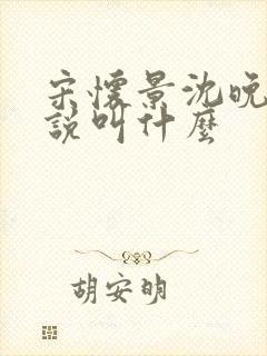 宋怀景沈晚怡小说叫什么