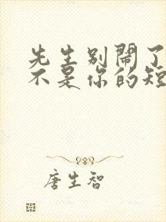 先生别闹了新娘不是你的短剧免费版观看