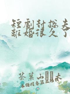 短剧封总夫人想离婚很久了在线观看