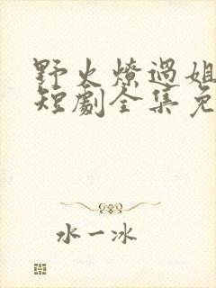 野火燎过姐姐心短剧全集免费阅读