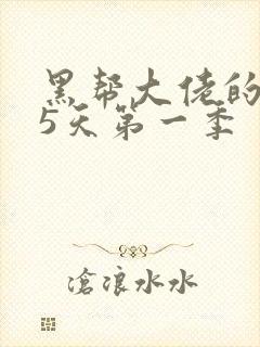 黑帮大佬的365天第一季