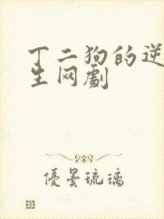 丁二狗的逆袭人生网剧