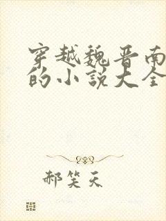 穿越魏晋南北朝的小说大全