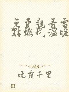 免费观看电视剧点燃我温暖你全集