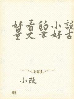 好看的小说高质量文笔好古言
