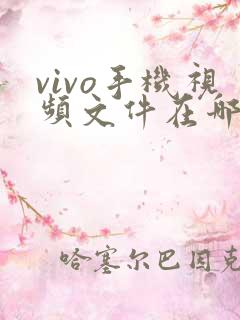 vivo手机视频文件在哪个文件夹