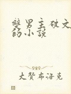 双男主破文囚禁的小说