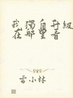 我独自升级小说在哪里看