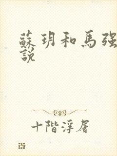 苏玥和马强的小说