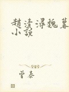 赵清浔魏暮聿的小说