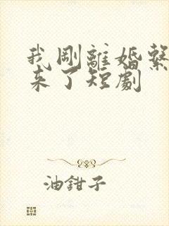 我刚离婚系统就来了短剧