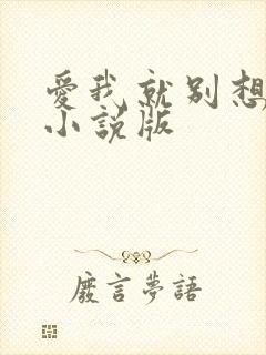 爱我就别想太多小说版