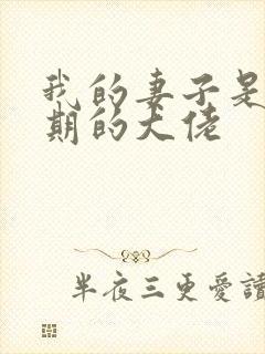 我的妻子是大乘期的大佬