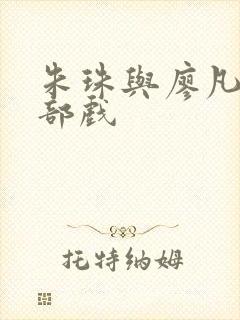 朱珠与廖凡是哪部戏