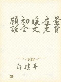 顾初暖夜景寒小说全文免费阅读