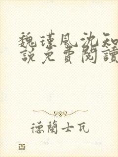 魏瑾风沈知玉小说免费阅读最新章节