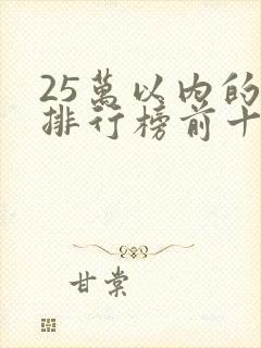 25万以内的车排行榜前十名