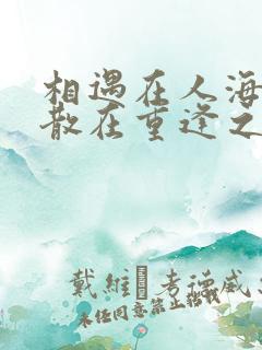 相遇在人海 聚散在重逢之外