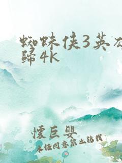 蜘蛛侠3英雄无归4k