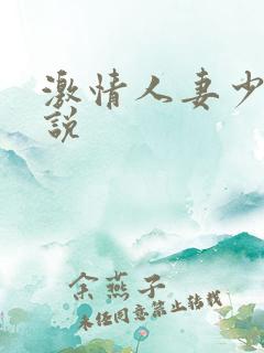 激情人妻少妇小说